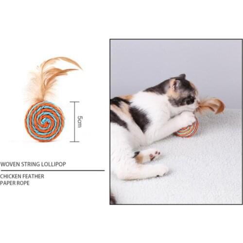 Pet Cat Interactive Toys Set Cat Kitties Toys Collection Bell Feather Funny Cat Sticks With Gift Box Funny Feather Supplies 7Pcs