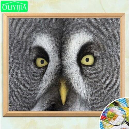 OUYIJIA Owl Face 5D DIY Diamond Painting Full Square Diamond Embroidery Sale Rhinestone Mosaic Home Decoration Painting Handwork