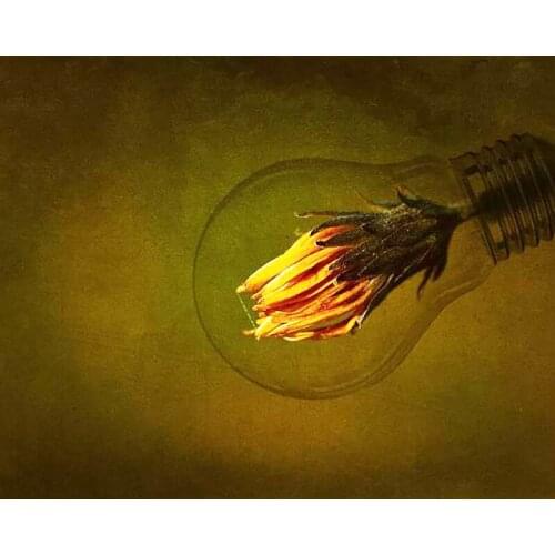 DIY Painting By Numbers Back To The Green Future Kit Oil Picture By Numbers Wall Art Painting on Canvas Home Decoration Gift