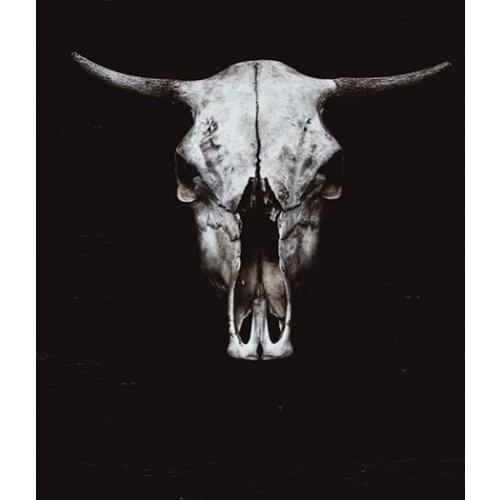 Nordic Black White Cow Skull Animal face Art Film Print Silk Poster Home Wall Decor 24x36inch