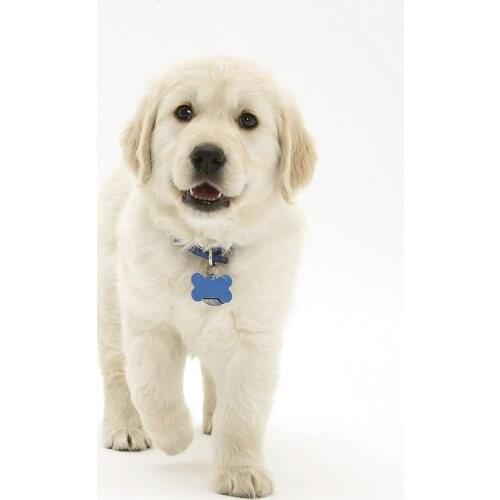 LIPHISFUN Full Drill Diamond Painting Handmade Cross Stitch Embroidery Square/round DIY Dog Cute Animal