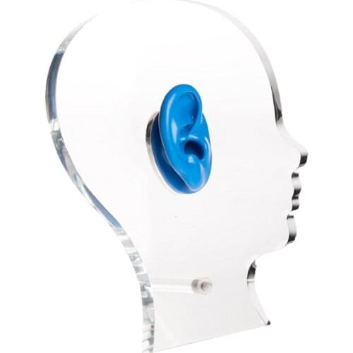 Hearing Aid Earphone Acrylic Display Stand Showcase Soft Silicone Simulation Ear Model Display Jewelry IEM