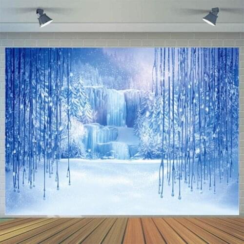 Fantastic Ice World Studio Photography Backgrounds Cloth Girl Birthday Party Decoration 3D Children Photo Digital Backdrop