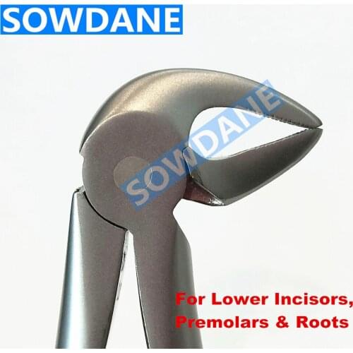 1 piece Stainless Steel Dental Adult Tooth Extraction Plier For Lower Incisors,Premolars,Roots Dental Surgery Forcep