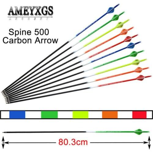12pcs 31.5" Spine 500 Composite Carbon Fiberglass Arrow High Elastic Rubber Feather For Hunting Shooting Archery Accessories
