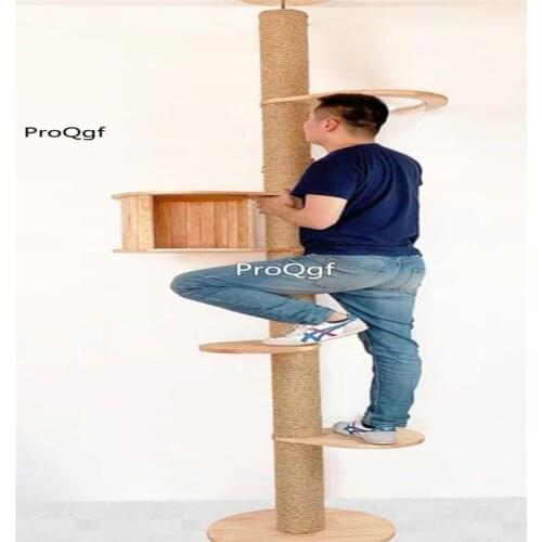 Ngryise 1 set wall hanging cat climbing tool customized