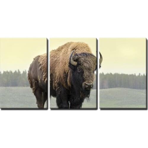 Triptych Prairie Bison,wild animals 5D Diy Diamond Painting Full Square Diamond Diamant Mosaic Pasted diamond embroidery WW244