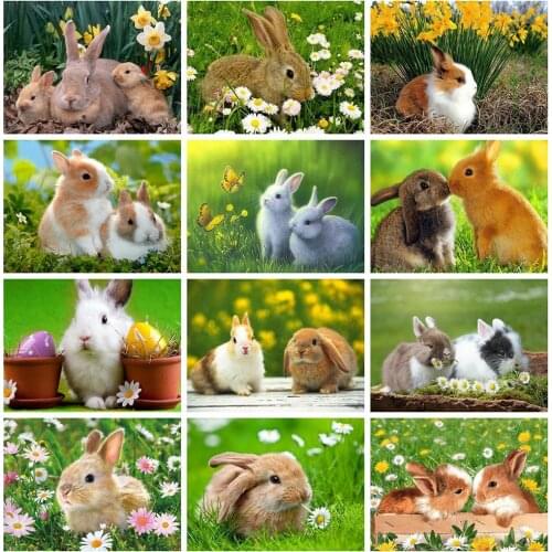 HUACAN 5D Diamond Painting New Arrivals Rabbit Rhinestones Diamond Embroidery Cross Stitch Animal Mosaic Sale Handmade Gift