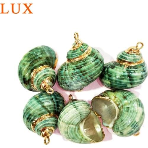 Wonderful 24k Gold Edged Conch Shell Pendant green sea snail pendant for jewelry making