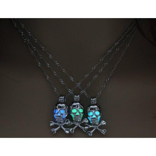 2019 Rock Glow in the Dark Chain Necklaces Luminous Skull Pendant Necklace For Mens Punk Jewelry Fashion personality Neck