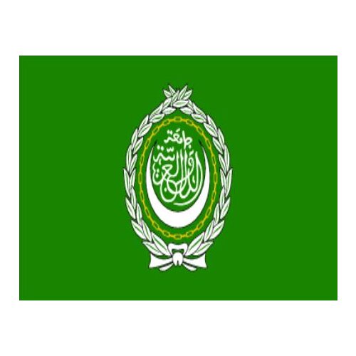 3x5ft custom any logo on banner with Flag of Arab League
