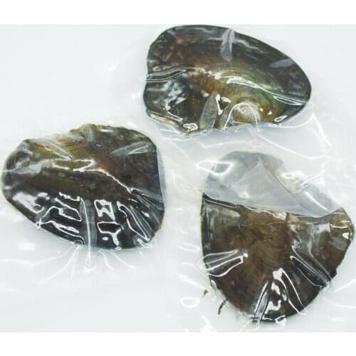 Christmas gifts !!!!!! wholesale 12pcs freshwater pearl oysters 6-7 mm pearl