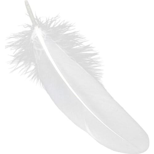 100PCS White Goose Feathers Wedding Jewelry Accessories 100% New And High Quality Natural Goose Feathers