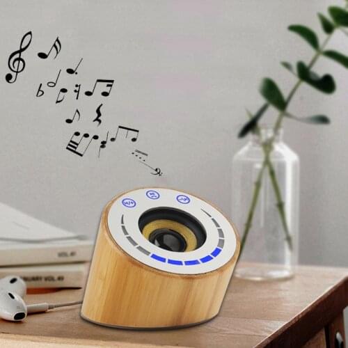 RUZSJ Portable Audio Equipment