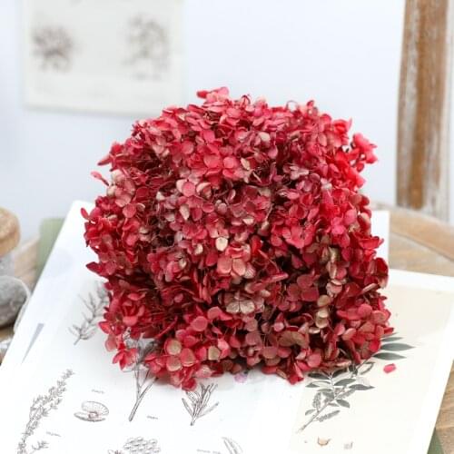 Dried flower Red gold 20G DIY material Grade A Anna Folium Hydrangea polychrome wedding decoration table