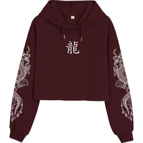 Cotton Aesthetic Hoodie 90s Graphic Croped Sweatshirts for Women Chinese Dragon Sweatshirt Street Retro Female Oversized Coat