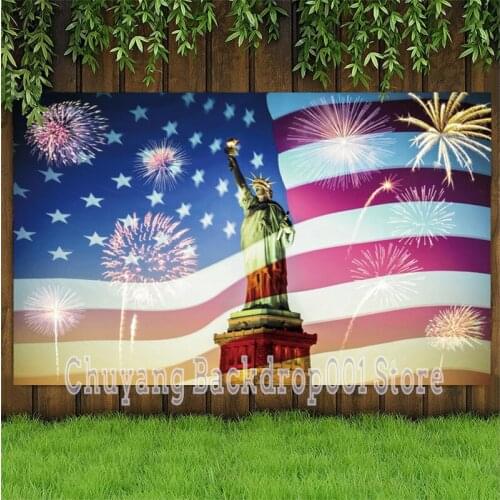 Statue Of Liberty American Flag Photo Background Fireworks Celebration Cheers Party Backdrop Home Decor Vinyl Poster Cover