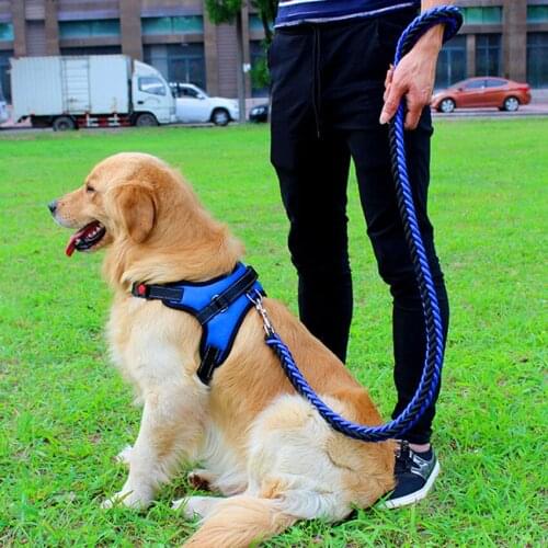 Reflective Dog Harness Leash Set Summer Adjustable Pet Chest Strap Traction Training Harnesses Vest Rope Dog Accessories