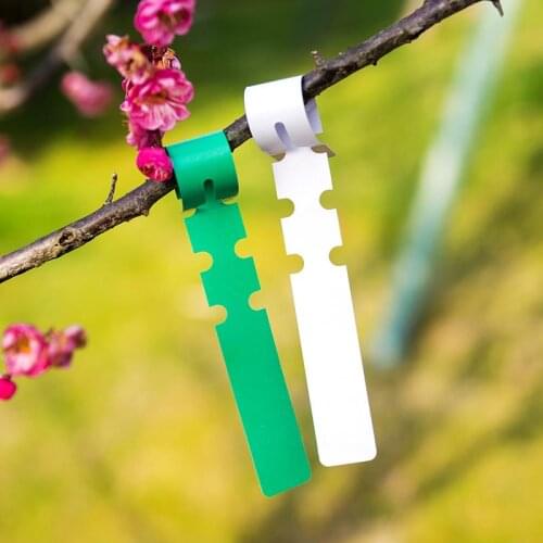 50 Pcs Home Garden Supplies Ring Set Label 20cm Plant Label PVC Waterproof Gardening Colorful Label Plant Flower Markers