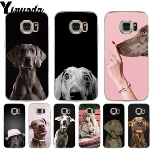 Yinuoda Samsung Galaxy S6 Phone Cases