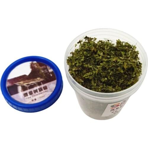 23g Miniatures Scatter Foliage Material for Building Diorama Fairy Garden Dollhouse DIY Modification