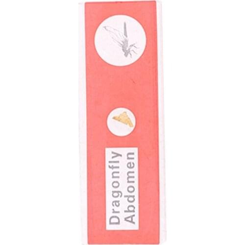 48pcs/set Kids Plastic Prepared Microscope Slides Biological Specimen Sample 203C