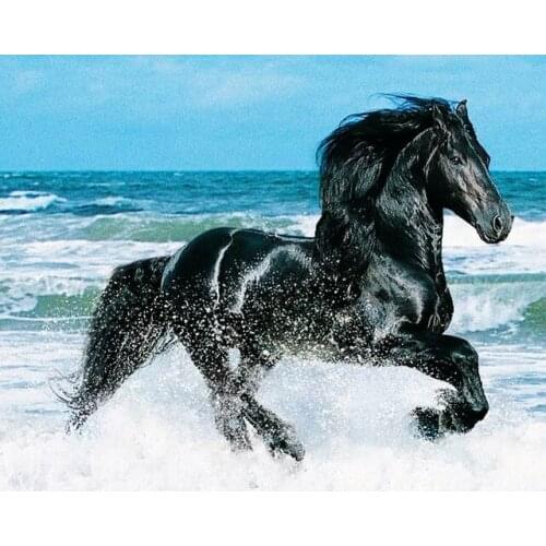 Diy 5d diamond painting animal square&round rhinestones diamond embroidery black horse cross stitch mosaic pattern full drill