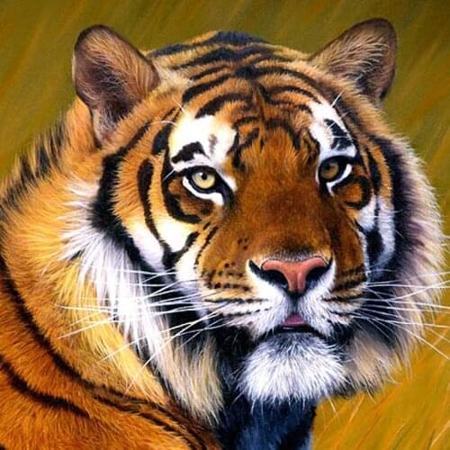 DIY Diamond Painting 3D Diamond Embroidery Tiger Pictures Of Rhinestones Kits For Cross Stitch Handmade Home Decor