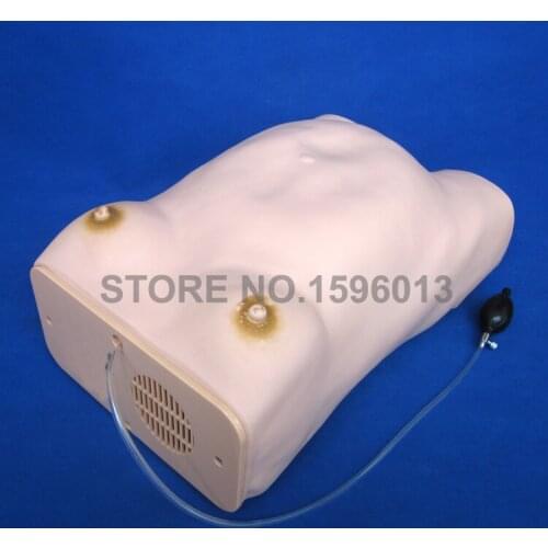 Advanced Maternity Examination Simulator,Pregnant Women with foetus Model,Leopold Maneuvers Model