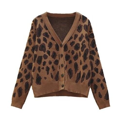 Sweater women 2021 New Sweater Autumn Leopard Cardigan Women Casual Loose Female Knitted Open Stitch Jumpers Street Wear