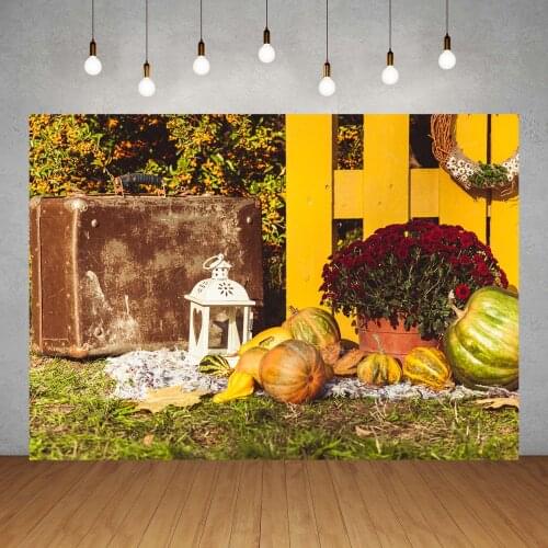 Pumpkins Lamp Suitcase Halloween Party Photography Backdrops Vinyl Cloth Backgrounds for Photo Studio Children Baby Photophone