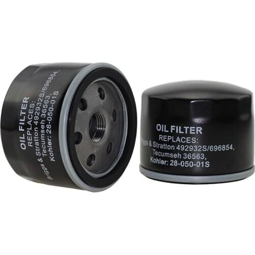 2 Pack Oil Filter Fits Briggs & Stratton 696854 795890 842921 695396 492932 D30