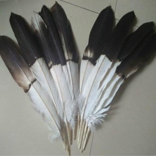 Wholesale perfect 10pcs high quality natural Eagle tail feathers 45-50 cm/18-20inch Decorative diy stage performance