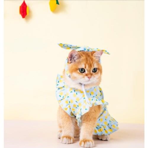Princess Cat Dress For Small Medium Dogs Chihuahua Skirt
