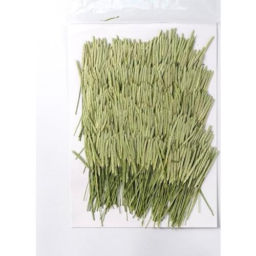 120pcs Pressed Dried Flower Grass Ear Stick Plants Herbarium Epoxy Jewelry Bookmark Phone Case Makeup Nail Art Craft DIY