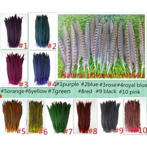50 pc 10-12inches/25-30cm high quality natural pheasant feather, DIY jewelry decoration