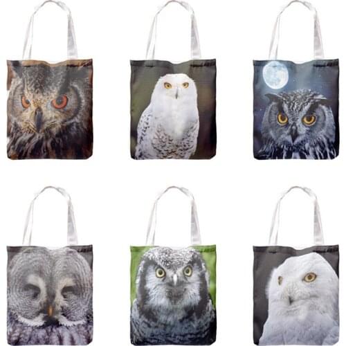 Ladies Shoulder Bag Painting Owl Girl Printed Tote Bags Women Casual Beach Bag Canvas Fabric Reusable Shopping Bag 36*33cm