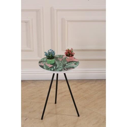 Modern Side table with Flower bed coffee tables table basse furniture living room table