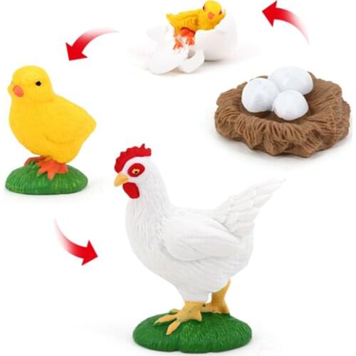 Kids Child Nature Insect Hen Chick Growth Life Cycle Model Pre-school Education Cognitive Toys Role Play Themed Party