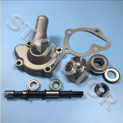 Hammerhead SS250 250CC Buggy Water Pump Assembly Moped Scooter Go Kart Atv Quad accessory