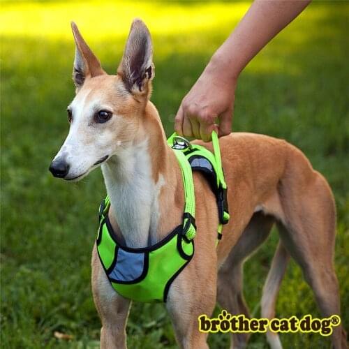 High Quality Dog Harness Training Walk Vest For Big Large Dogs Adjustable Padded Travel Reflective Harness Pitbull Dropship 8801