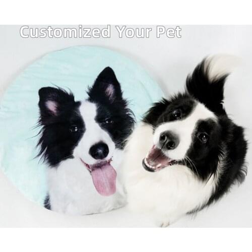 Habinisi Products For Dogs