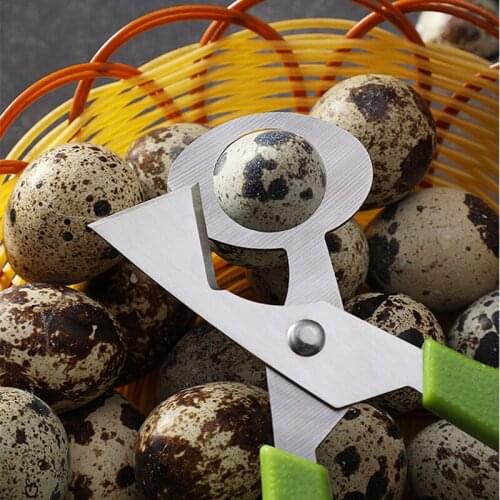 Quail Egg Cutter Pigeon Opener Bird Tool Cracker Blade Clipper Cigar Kitchen Scissor Kitchen Housewife Tool