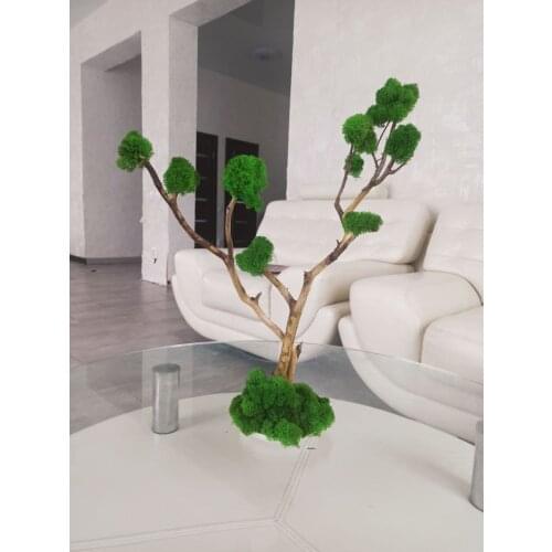 EcoDesign Decorative Shelves