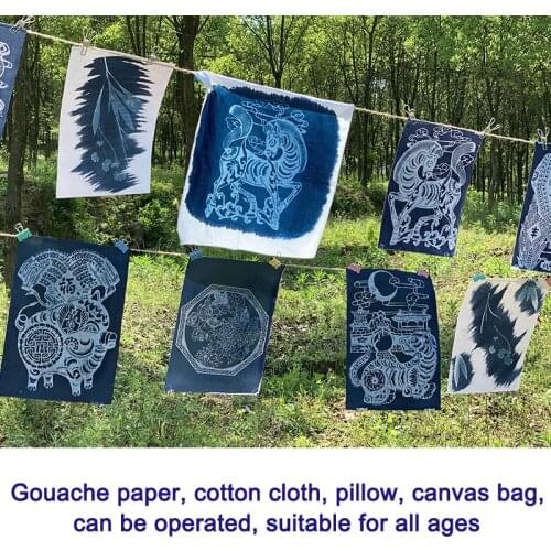 Hot Sale Cyanotype Set Potassium Ferricyanide Cyanotype Printing DIY Kit Dropship