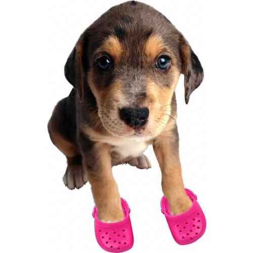 Dog Chew Toy Pet Breathable Slippers Nonslip Footwear For Large Dog Candy Coloured Holey Shoes Summer Breathable Mesh Dog Shoes