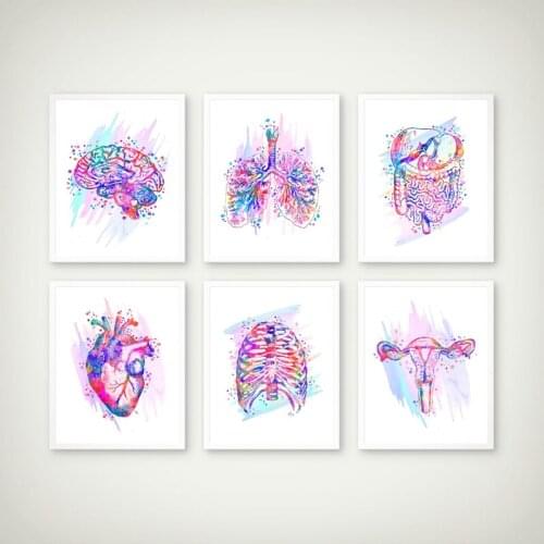 Anatomy Print Anatomical Organs Poster Brain Heart Lungs Liver Pelvis Rib Cage Human Anatomy Art Painting Clinic Wall Art Decor