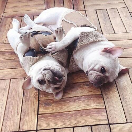 Vintage Bomber Dog Coat Soft PU Leather Pet Jacket Plush Warm Spring Autumn Outdoor Puppy Clothes for Medium Dogs French Bulldog