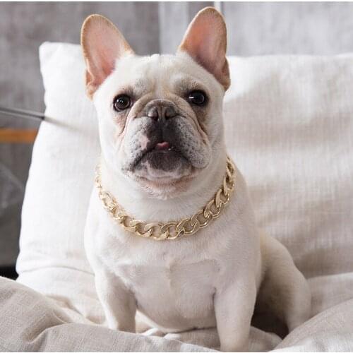 Schnauzer Teddy Big Gold Chain Pet Dog Necklace Small Dog And Cat Gold Necklace M L Size Puppy Collar Pet Necklace Dog Leader