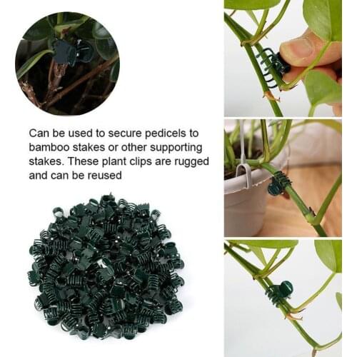 Grafting Clip Garden Clip Phalaenopsis Special Clip Clip Vegetable Vine 100 Fruit Clip Pack Plant Vine Tied Clip P4B4